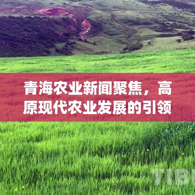 高鸟尽良弓藏