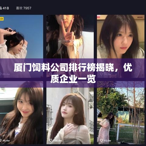 网站案例 第5页