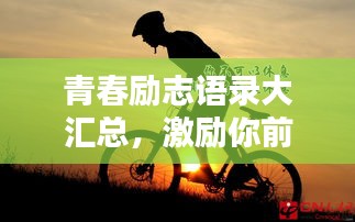 张冠李戴