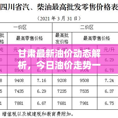 不飞则已