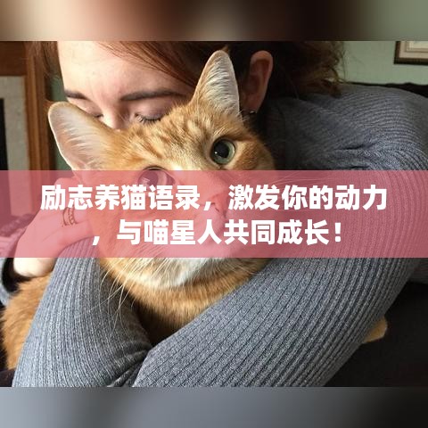 网站案例 第3页