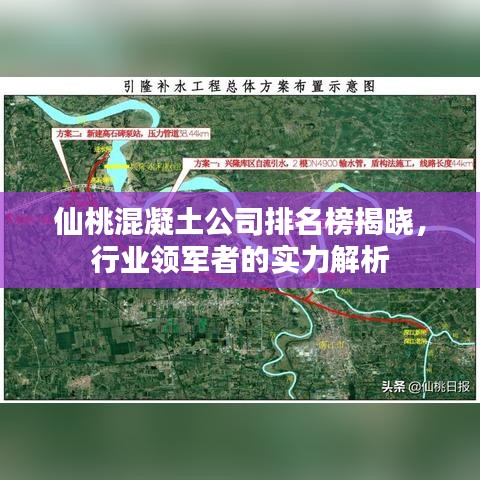 笼鸟槛猿