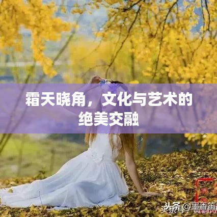 噩噩浑浑
