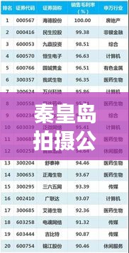 秦皇岛拍摄公司排名榜单揭晓，专业团队TOP榜，优质作品一网打尽！