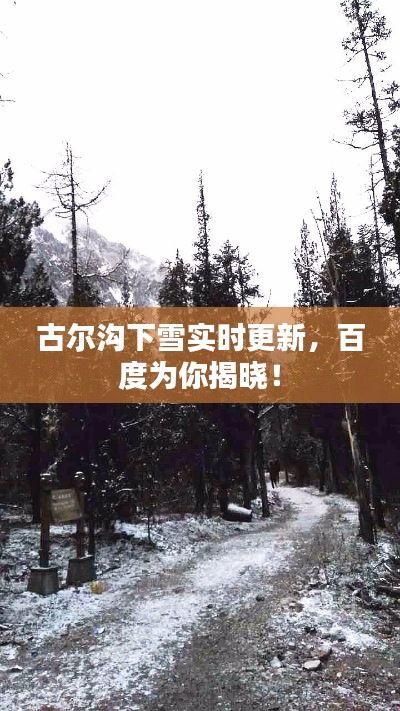 古尔沟下雪实时更新，百度为你揭晓！