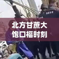 北方甘蔗大饱口福时刻，最新啃甘蔗视频集结，领略独特文化魅力