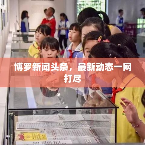 博罗新闻头条，最新动态一网打尽