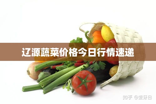 辽源蔬菜价格今日行情速递