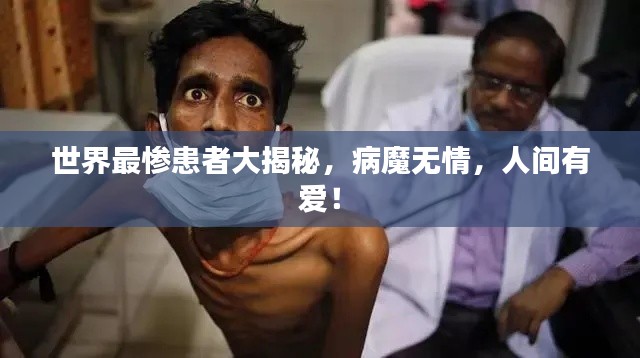 祖道供张