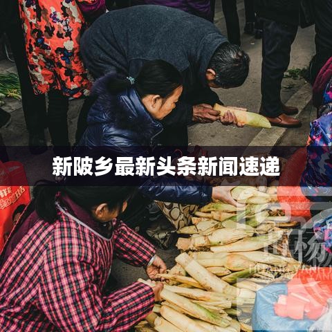 初告白