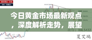 今日黄金市场最新观点，深度解析走势，展望未来发展前景