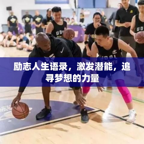 资料下载 第13页