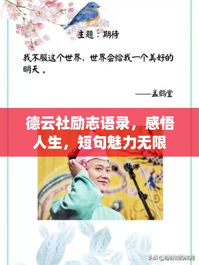笔走如飞