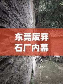 张牙舞爪