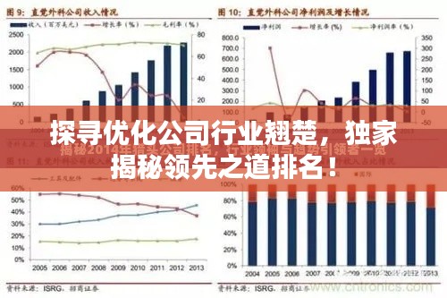 探寻优化公司行业翘楚，独家揭秘领先之道排名！