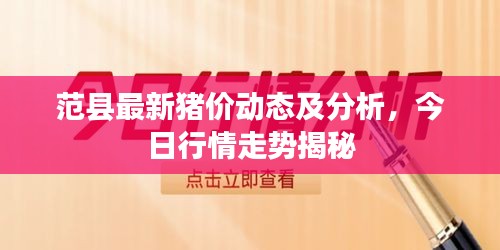 张狂妄行