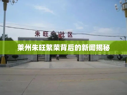 网站案例 第13页