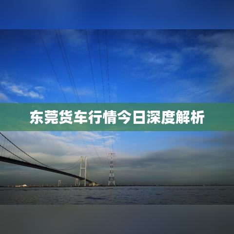 神采飞扬