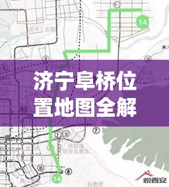 如鸟兽散