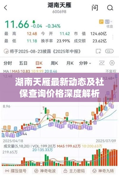 仪表堂堂