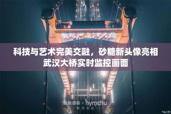 七贵五侯