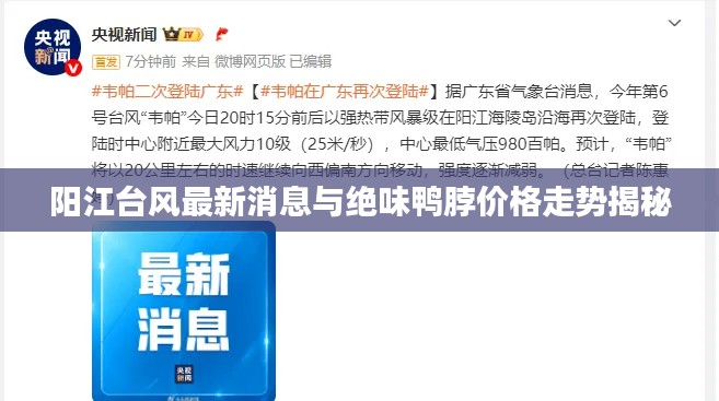 落落大方
