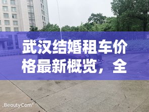 行疾如飞