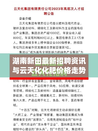 朴实无华