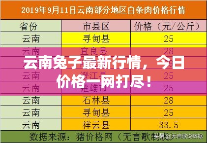 沉重寡言