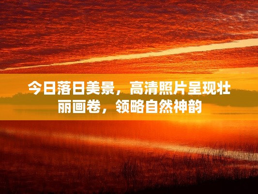 水静河飞