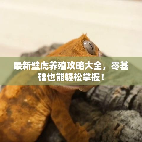 后会难期