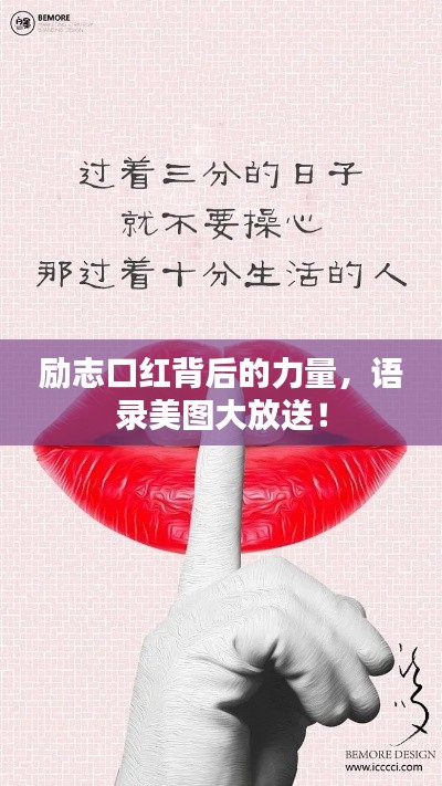 纲挈目张