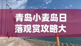 寥若晨星