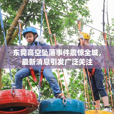 不畏权贵