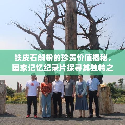 容光焕发