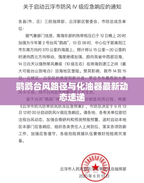 网站案例 第2页