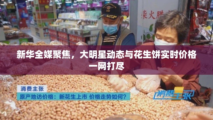 新华全媒聚焦，大明星动态与花生饼实时价格一网打尽