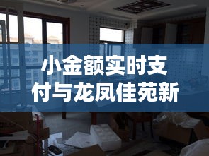 小金额实时支付与龙凤佳苑新动态，抢先看，精彩不容错过！