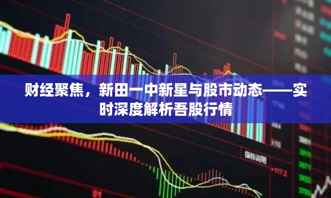 财经聚焦，新田一中新星与股市动态——实时深度解析吾股行情
