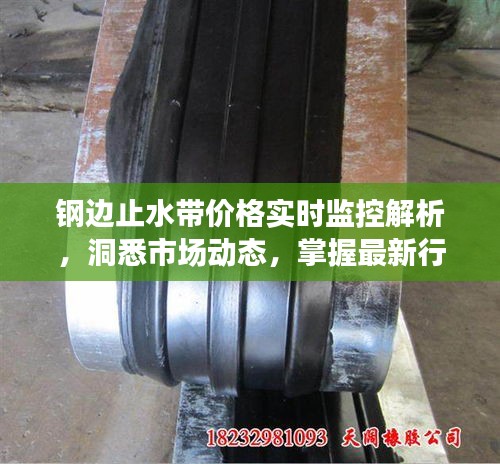 钢边止水带价格实时监控解析，洞悉市场动态，掌握最新行情！