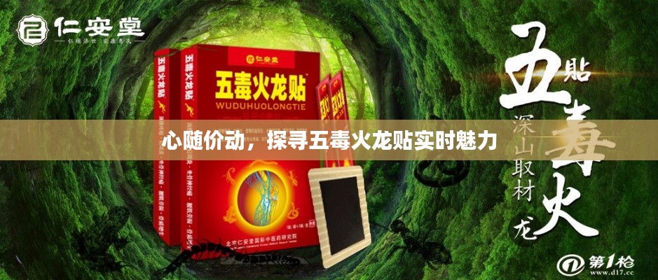 心随价动，探寻五毒火龙贴实时魅力