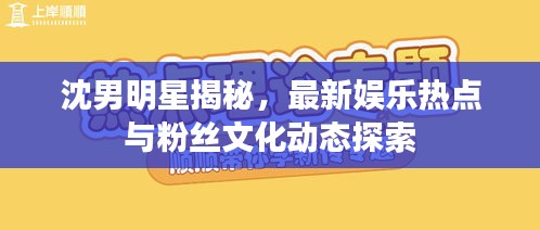 沈男明星揭秘，最新娱乐热点与粉丝文化动态探索