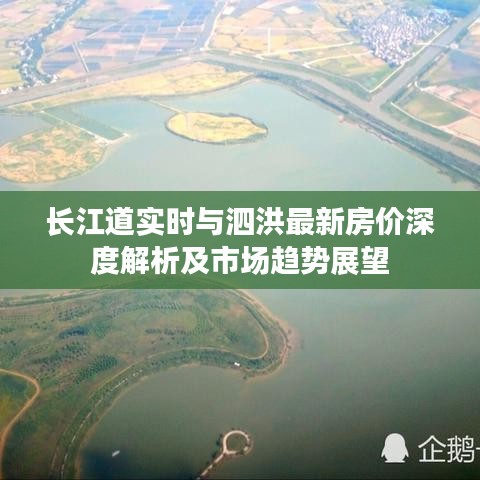 长江道实时与泗洪最新房价深度解析及市场趋势展望