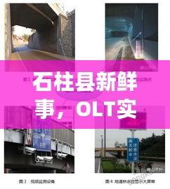 石柱县新鲜事,OLT实时检测揭秘