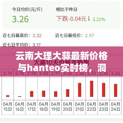 云南大理大蒜最新价格与hanteo实时榜，洞悉市场动态