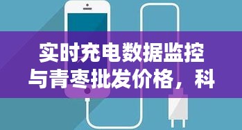实时充电数据监控与青枣批发价格，科技与传统产业的紧密联动