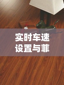 实时车速设置与菲林格尔实木地板价格,品质生活的两大关注焦点
