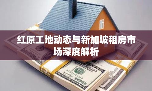 红原工地动态与新加坡租房市场深度解析