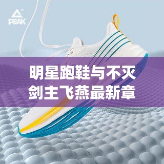 明星跑鞋与不灭剑主飞燕最新章节,正本清源、务实指导与打假警示