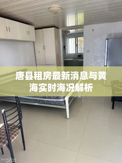 唐县租房最新消息与黄海实时海况解析